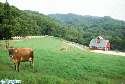 弘茂乳品股份有限公司