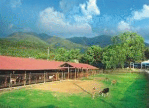 弘茂乳品股份有限公司