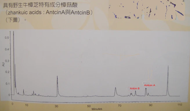 含有野生牛樟芝特有成分樟菇酸(zhankuic acid:AntcinA與AntcinB)。