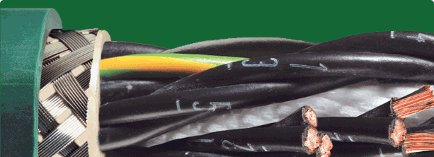 台灣易格斯有限公司