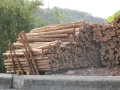 客製化杉木製品板材.角料.樑柱