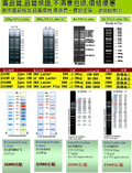 100bp 核酸標記