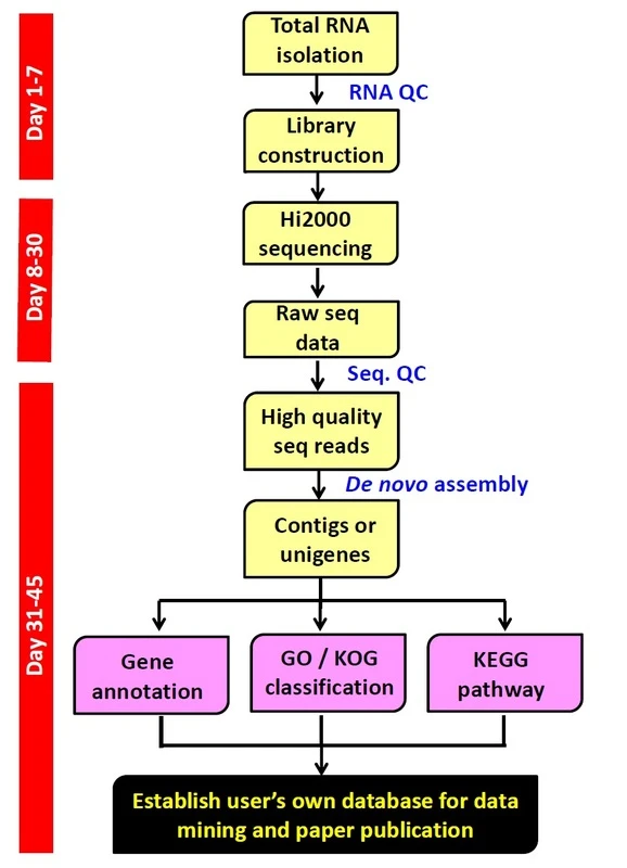 NGS生資分析流程圖