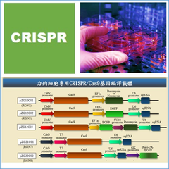 CRISPR For Cell