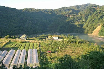 全合發興業有限公司