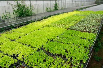 全合發興業有限公司