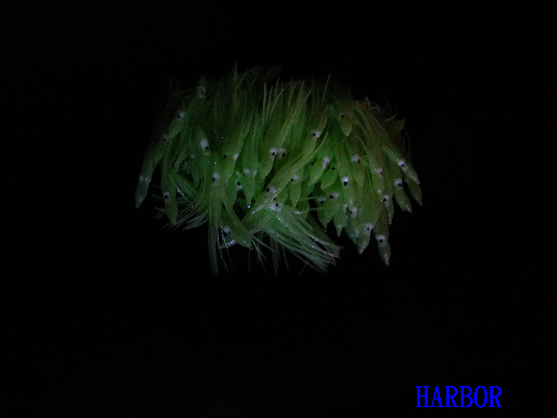 夜間無光害攝影