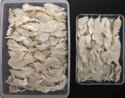 久沅真燕窩企業有限公司