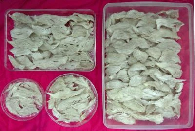 久沅真燕窩企業有限公司