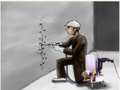 雨太多股份有限公司