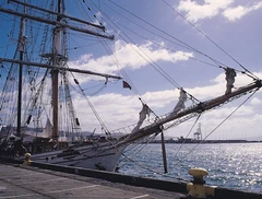 洋邦國際物流有限公司