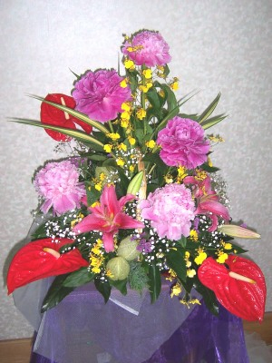 編號:f4 NT$: 800~2000