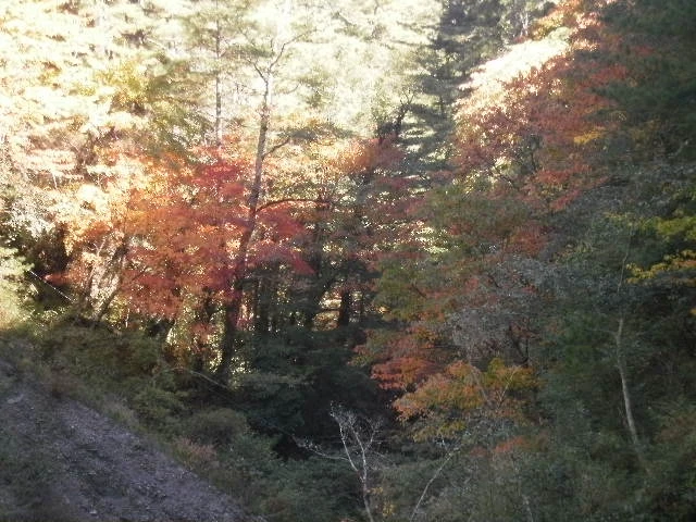 松風通信有限公司