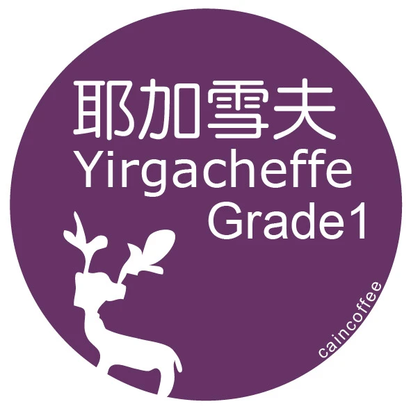 衣索比亞耶加雪菲