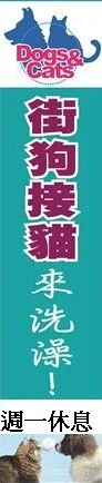 街狗接貓來洗澡