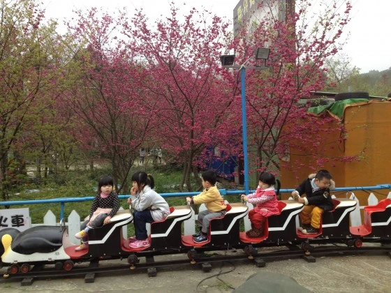 動力育樂企鵝小火車 闕先生0918439449