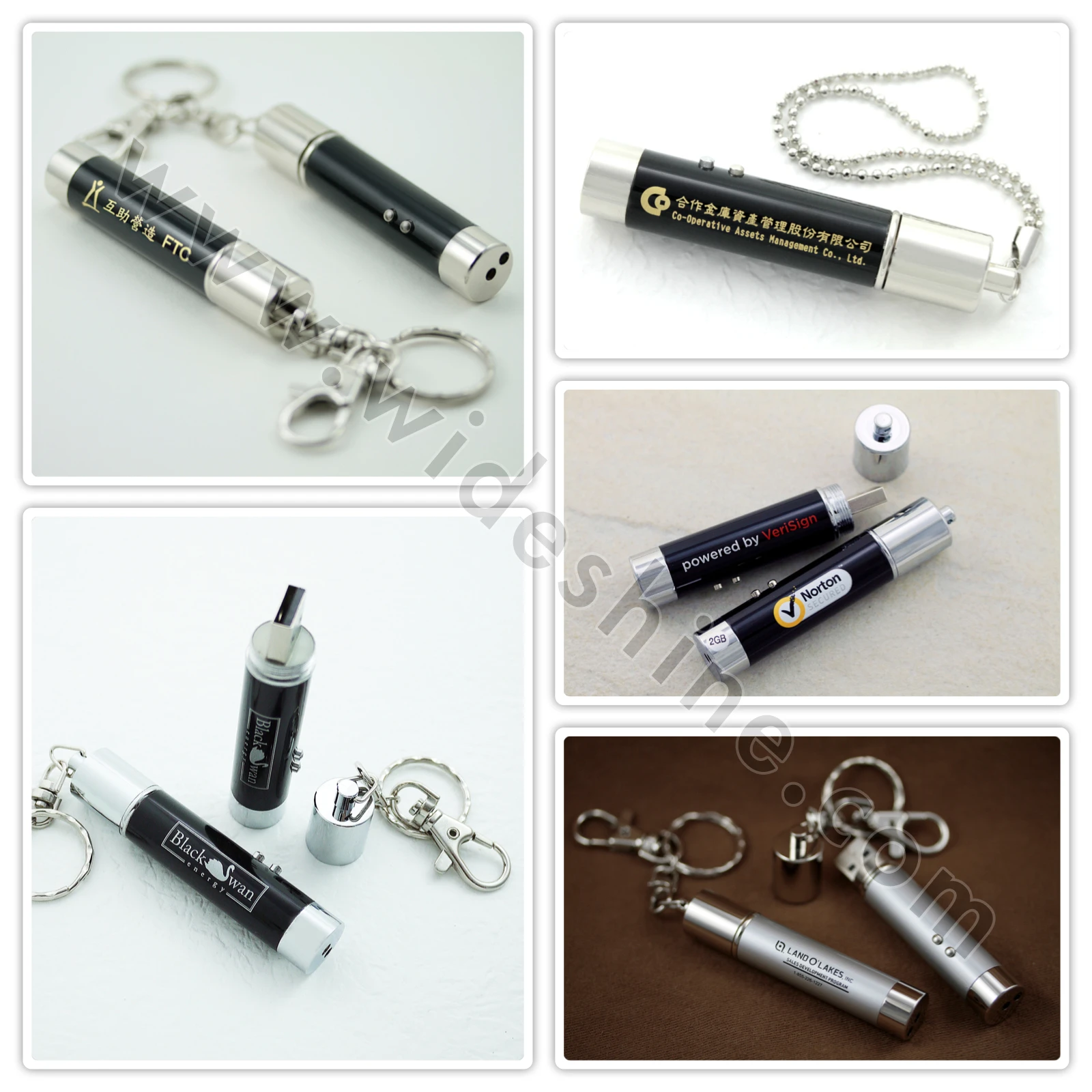 PL100 充電式雷射碟