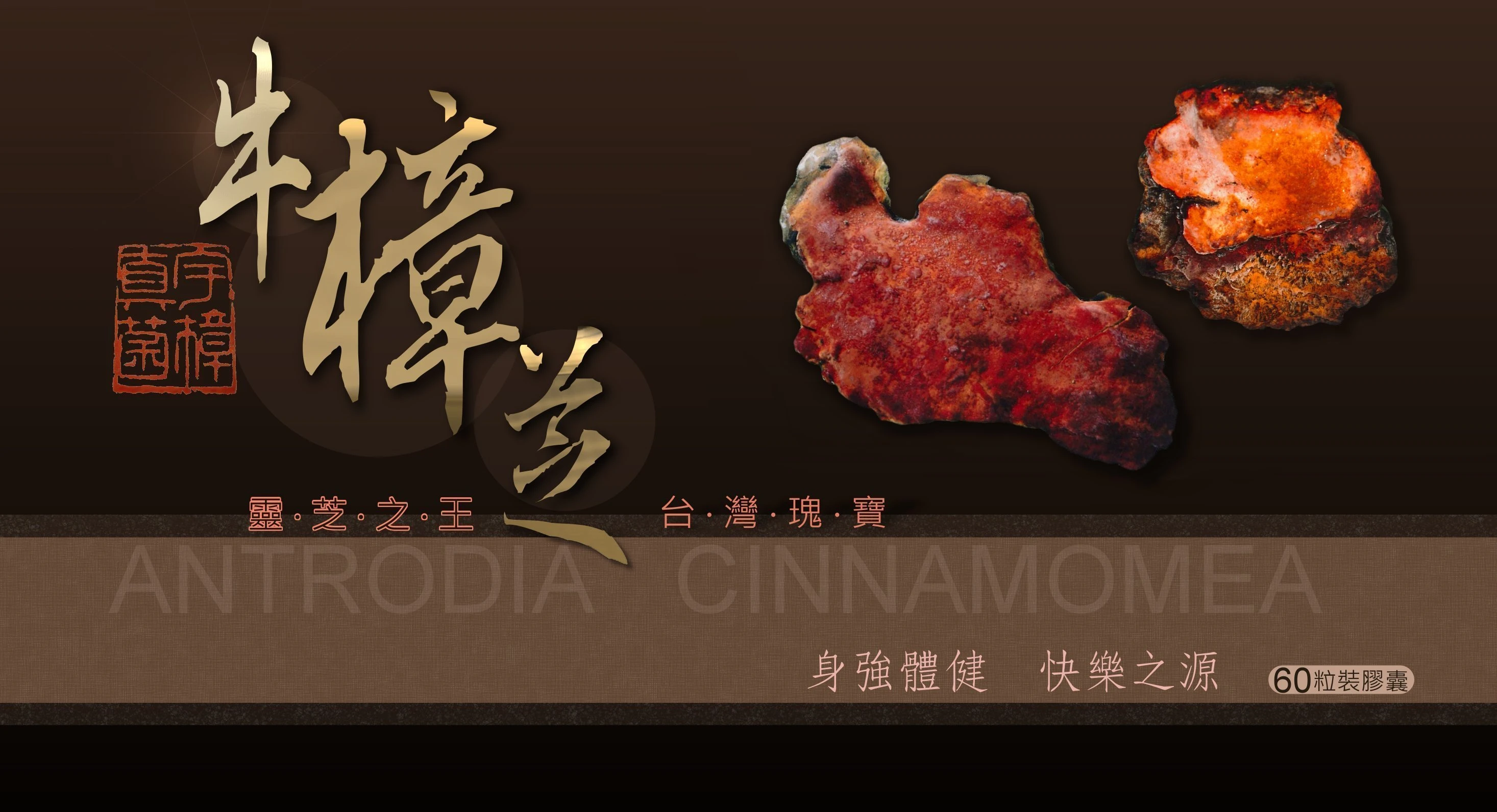 ~宇樟真菌 100%固態栽培樟芝膠囊 400mg×60/粒 ~