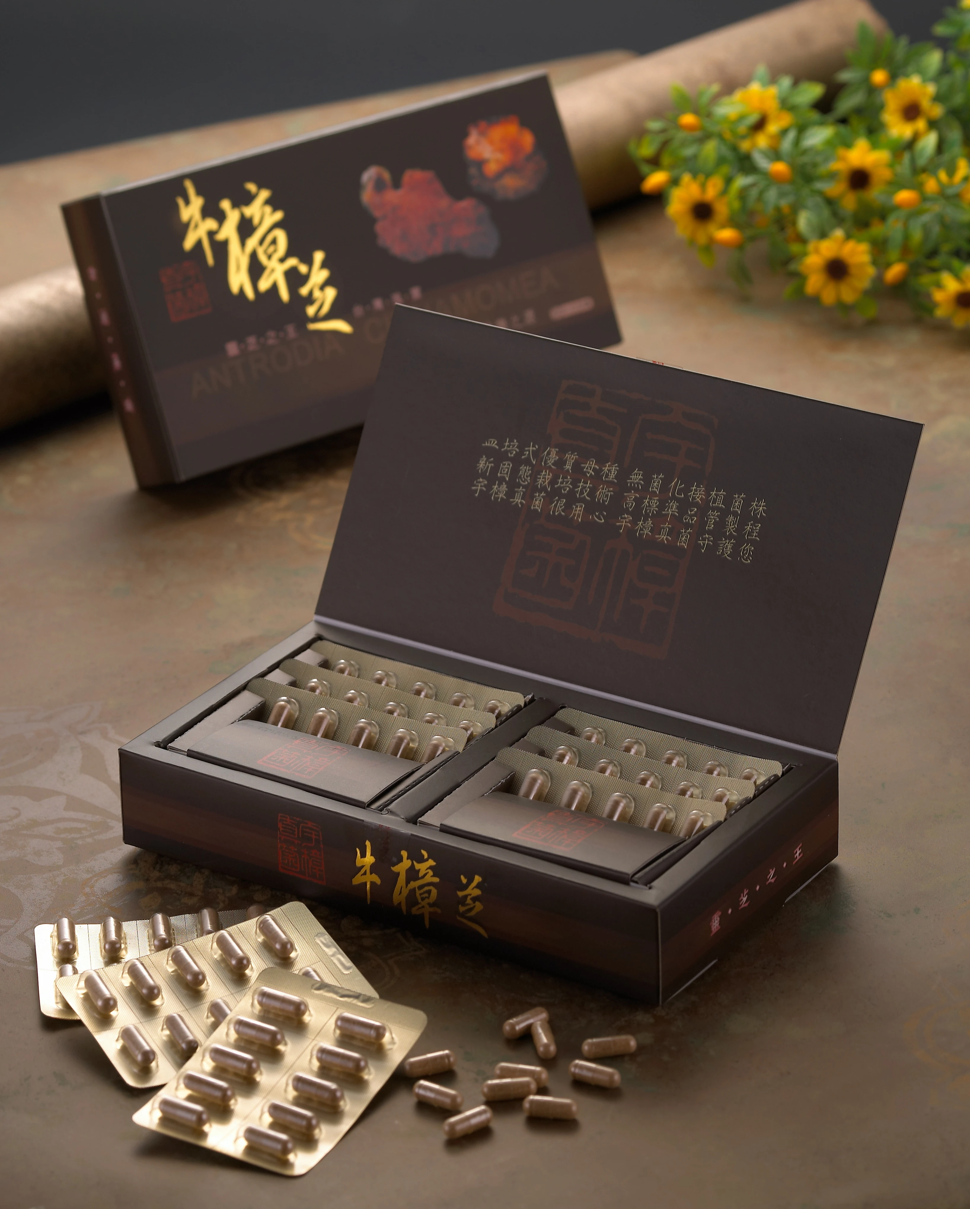 ~宇樟真菌 100%固態栽培樟芝膠囊 400mg×60/粒 ~