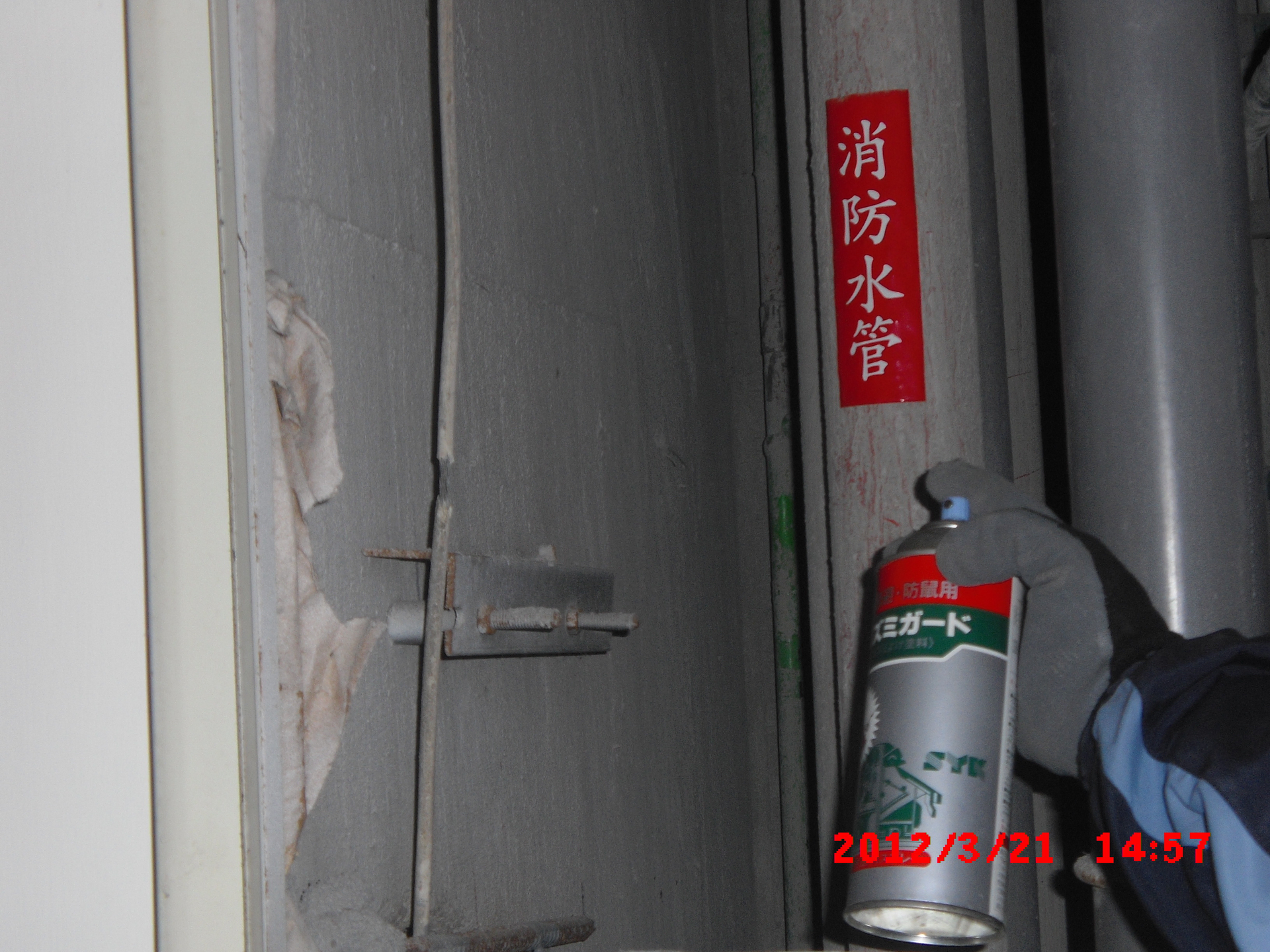 噴灑药劑防治老鼠