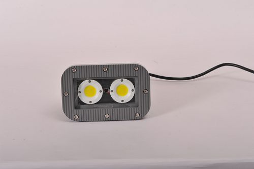 40W 防爆燈具 白光/黃光