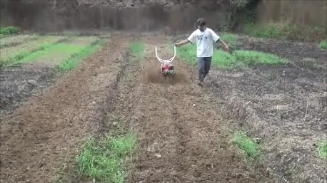 Rotary/Tilling blade of tiller/cultivator/weeder/hand tractor (中耕機/耕耘機)