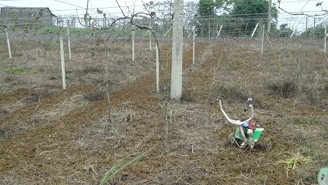 Rotary/Tilling blade of tiller/cultivator/weeder/hand tractor (中耕機/耕耘機)