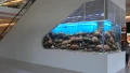 魚缸\水族工程\游泳池\海洋工程\acrylic