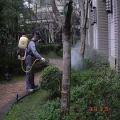 專業除蚤除蟑、滅蚊滅鼠、清潔消毒服務、除蟲服務