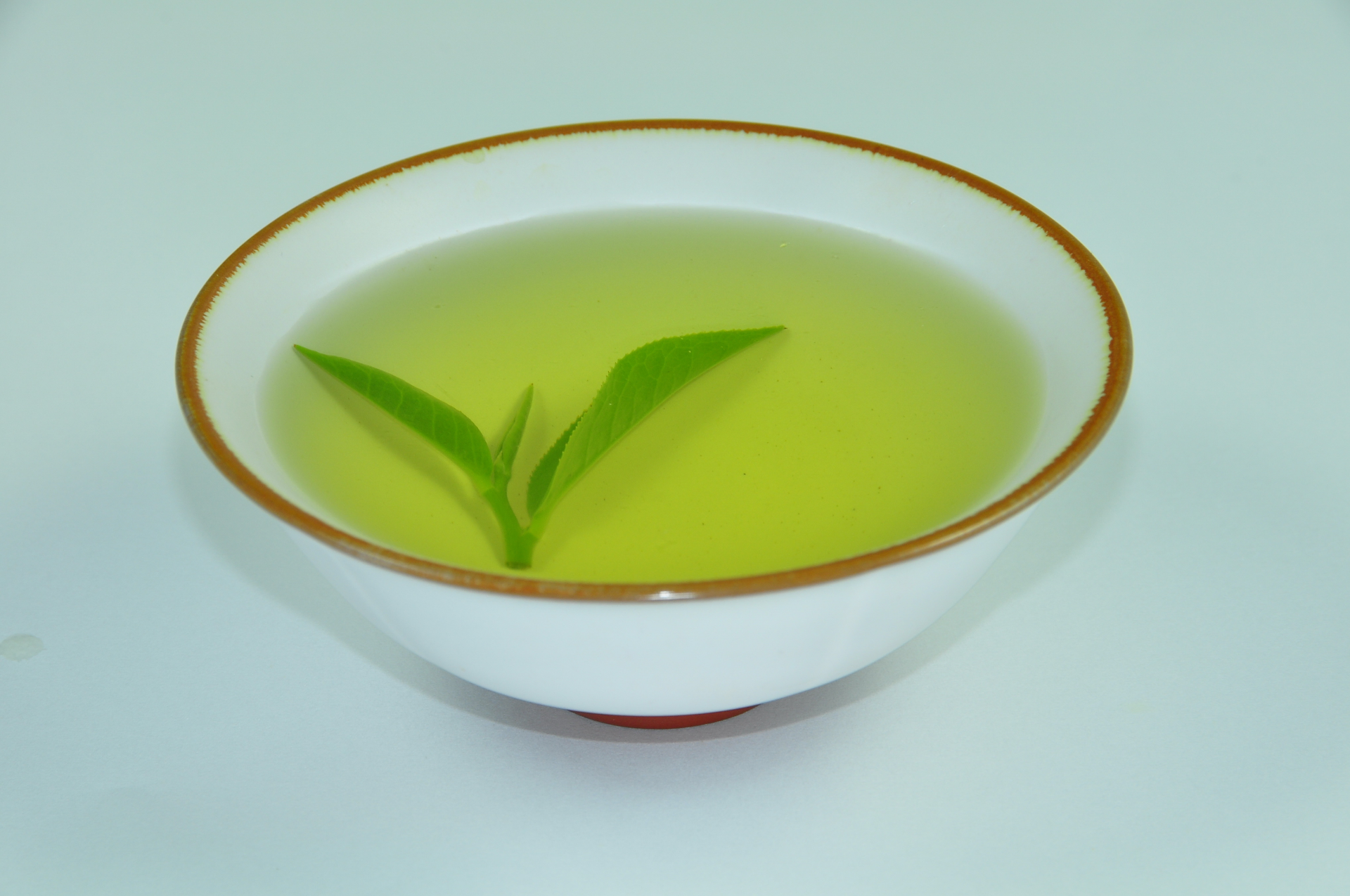 烏龍茶湯