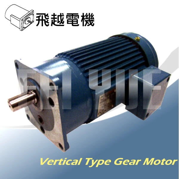 立式齒輪馬達