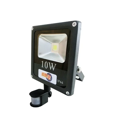 戶外感應投射燈(12W)