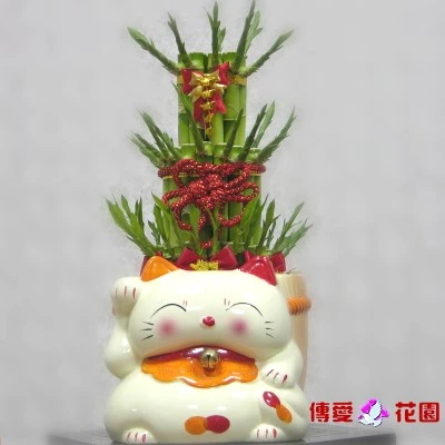 巿面最低價，直送到府不加價，卡片均固定於適當位置，拆開即是一份大方的花禮～來電聯絡有優惠。