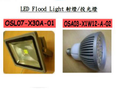 LED Flood Light 射燈-投光燈