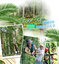 Tree Top 樹頂冒險 搖滾動感五日(同學會)