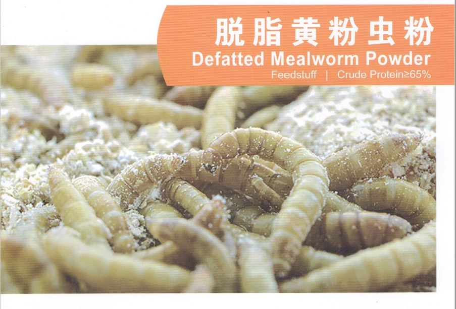 脫酯黃蟲粉