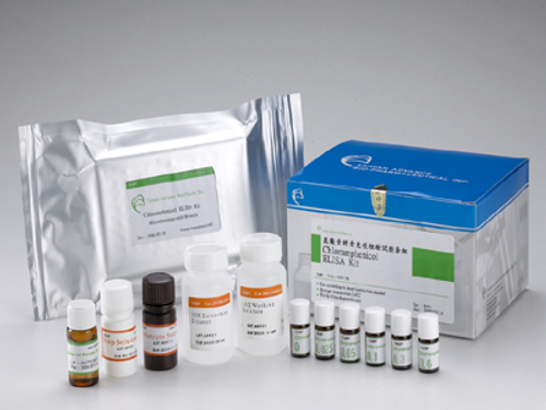 供應 氯黴素酵素免疫檢驗試劑套組 Chloramphenicol ELISA Diagnostic Kit