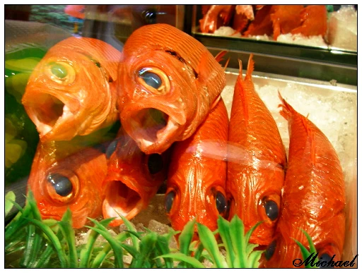 真鶴日式海鮮料理