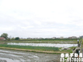 三星大湖1甲農地