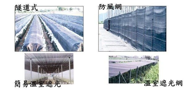 黑色針織網黑色平織網蘭花網訂製黑網黑網蓋沙子黑網