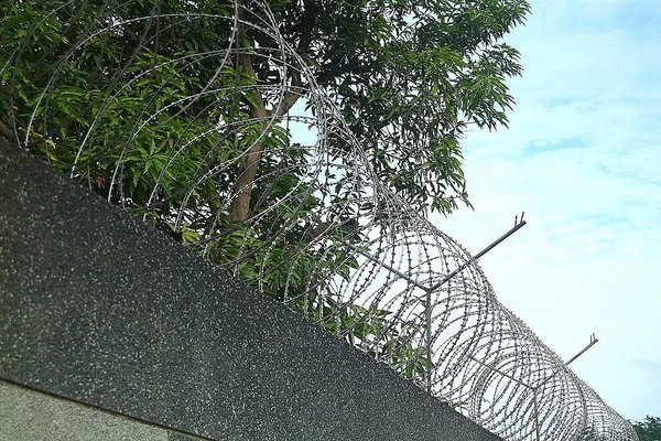 刺刀蛇龍網不銹鋼線蛇龍網不鏽鋼刀片蛇龍網拒馬刺刀網