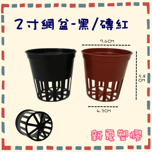 2寸水草網盆