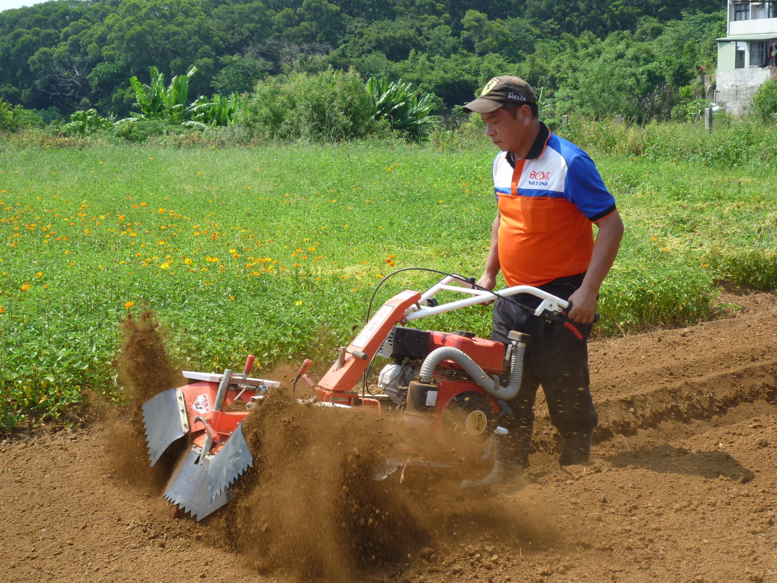 850 中耕機鬆土作業