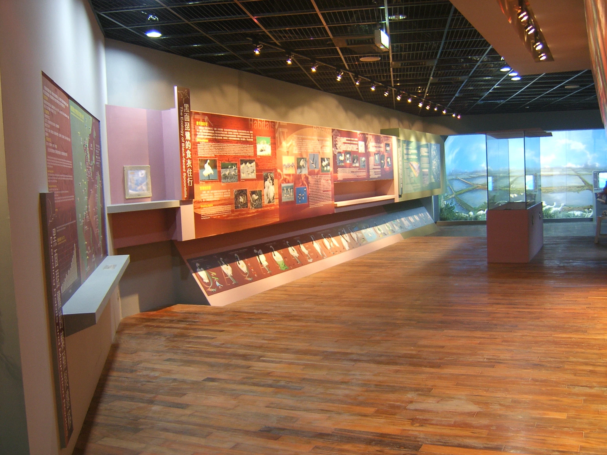 巧能設計企業有限公司