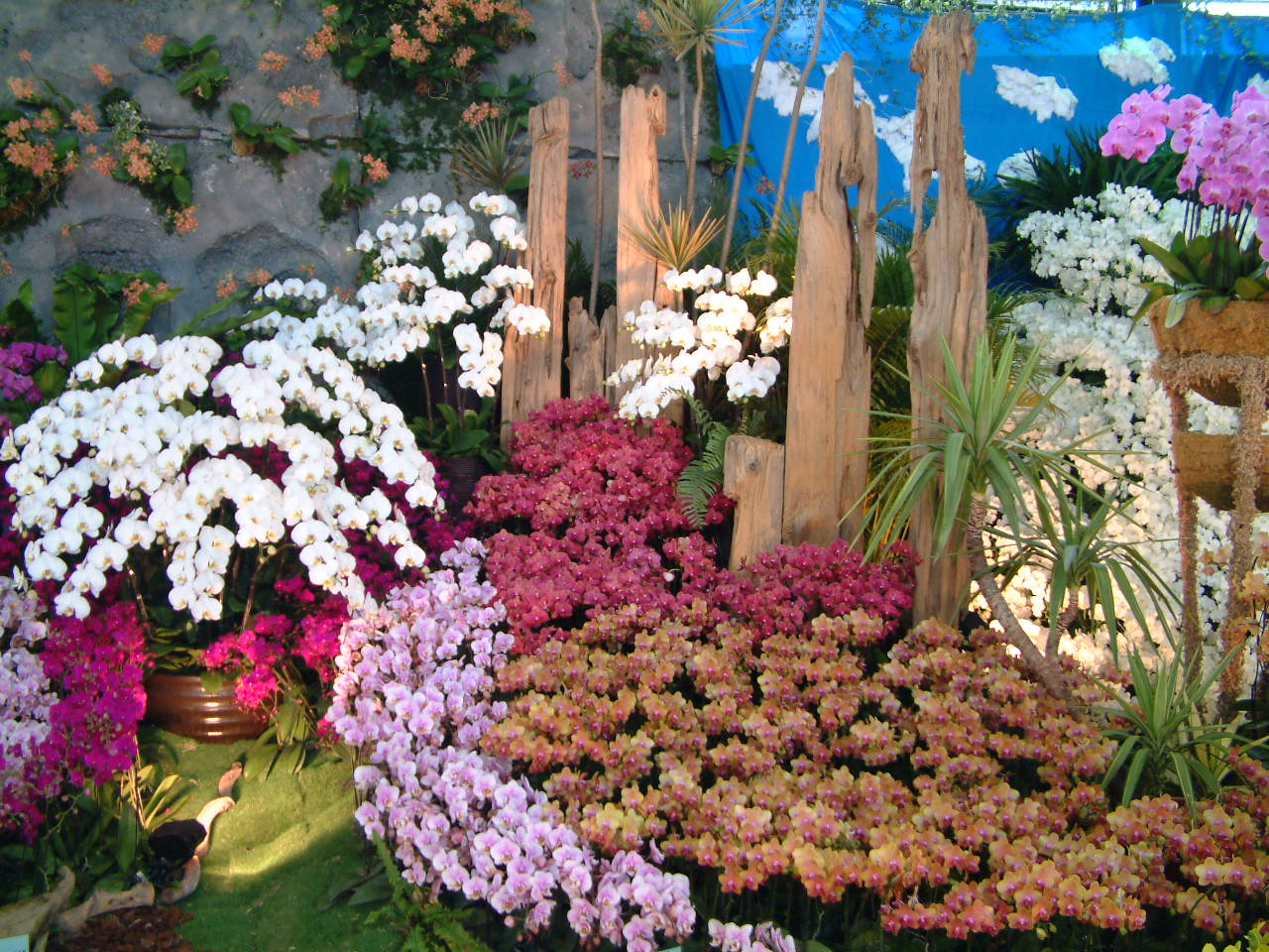 菁英禮儀師團隊 以廉宜的價位創造不凡的滿意度