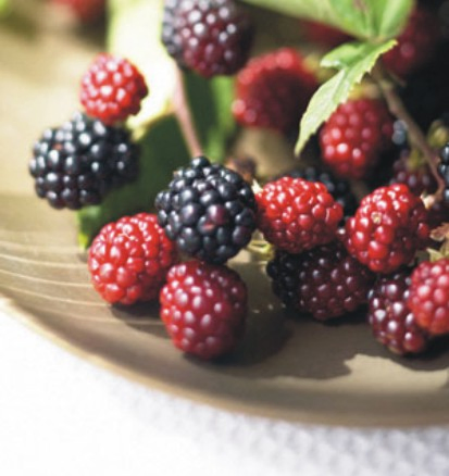 肯的創意廣告有限公司