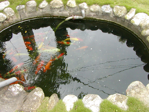 生態景觀池