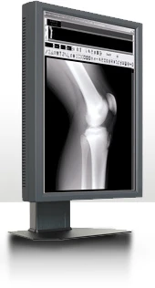 豐彩數位科技有限公司