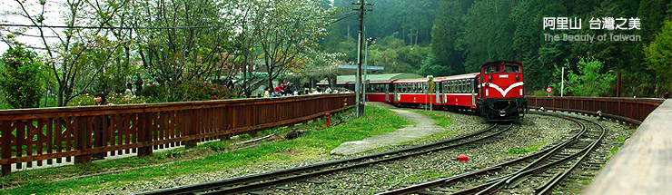 美食、海洋、陽光，準備好渡假的心情，盡情倘佯在這海角樂園吧！