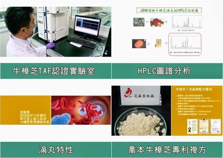 牛樟芝品質檢驗
